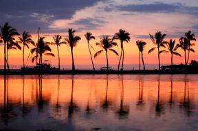 Paradise beach sunset or sunrise with tropical palm trees. Summe